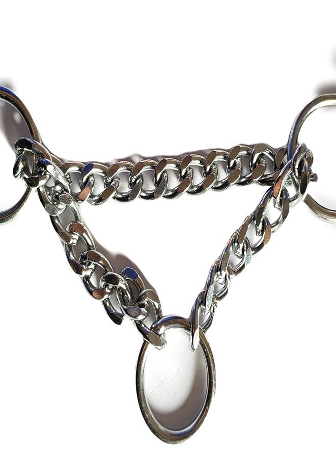 Pups&Pets طوق خنق متين وثقيل الوزن للكلاب من Pups&Pets، طوق نصف سلسلة من النايلون، طوق نصف خانق من الفولاذ المقاوم للصدأ، مقاس 1.25 بوصة كبير جدًا للكلاب العملاقة والكبيرة (أزرق). - Image 4